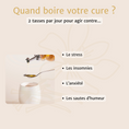 Charger l'image dans la visionneuse de la galerie, Cure Anti-Stress Passion Mangue